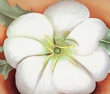 White flower on Red Earth No. 1 by Georgia O'Keeffe